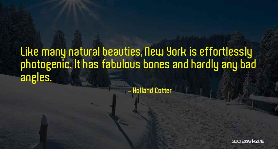 Kristiansen Klassic Santa Barbara Quotes By Holland Cotter Kristiansen Klassic Santa Barbara Quotes By Holland Cotter