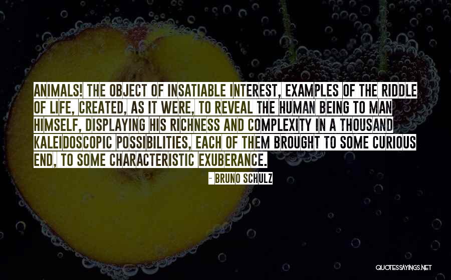 Kristin Beck Quotes By Bruno Schulz Kristin Beck Quotes By Bruno Schulz