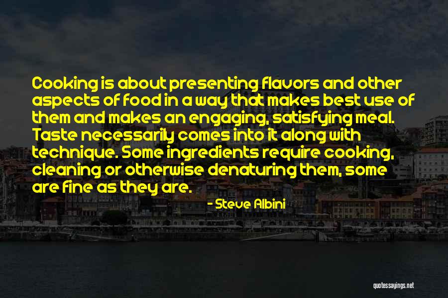 Kristufek Selections Quotes By Steve Albini Kristufek Selections Quotes By Steve Albini