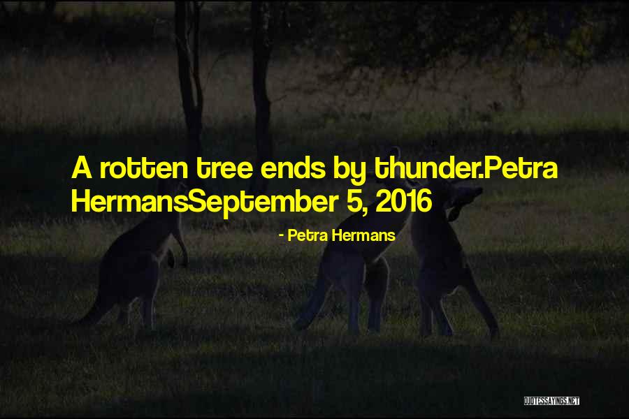 Kristyn Burtt Quotes By Petra Hermans Kristyn Burtt Quotes By Petra Hermans