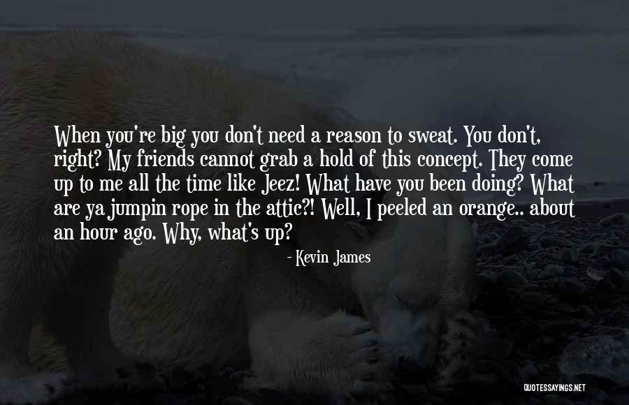 Kristys Big Quotes By Kevin James Kristys Big Quotes By Kevin James