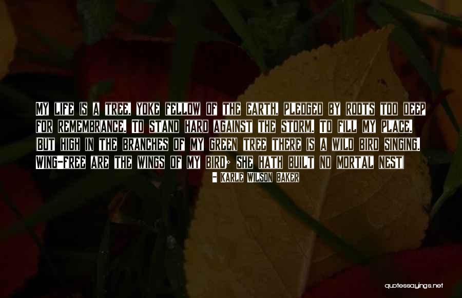 Kritas Animation Quotes By Karle Wilson Baker Kritas Animation Quotes By Karle Wilson Baker