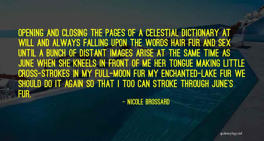 Kritikos Fylladio Quotes By Nicole Brossard Kritikos Fylladio Quotes By Nicole Brossard