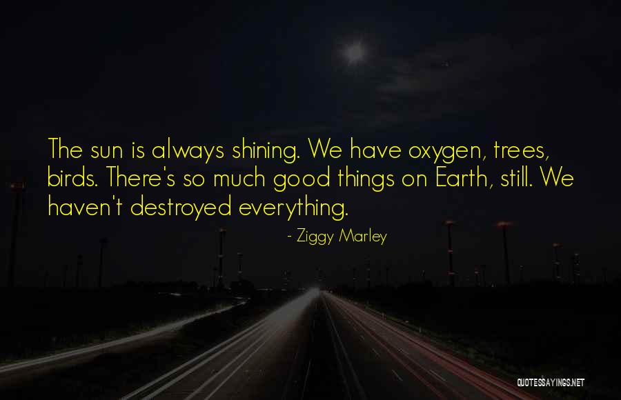 Kritikus Musik Quotes By Ziggy Marley Kritikus Musik Quotes By Ziggy Marley