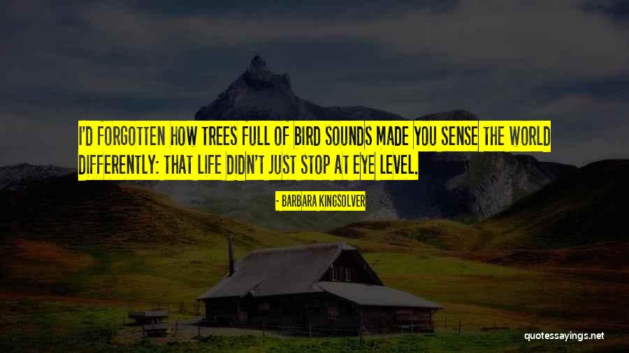 Kritsonis Change Quotes By Barbara Kingsolver Kritsonis Change Quotes By Barbara Kingsolver