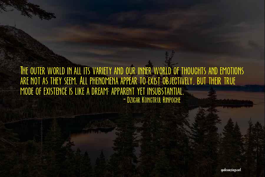 Kriztenne Mizuno Quotes By Dzigar Kongtrul Rinpoche Kriztenne Mizuno Quotes By Dzigar Kongtrul Rinpoche