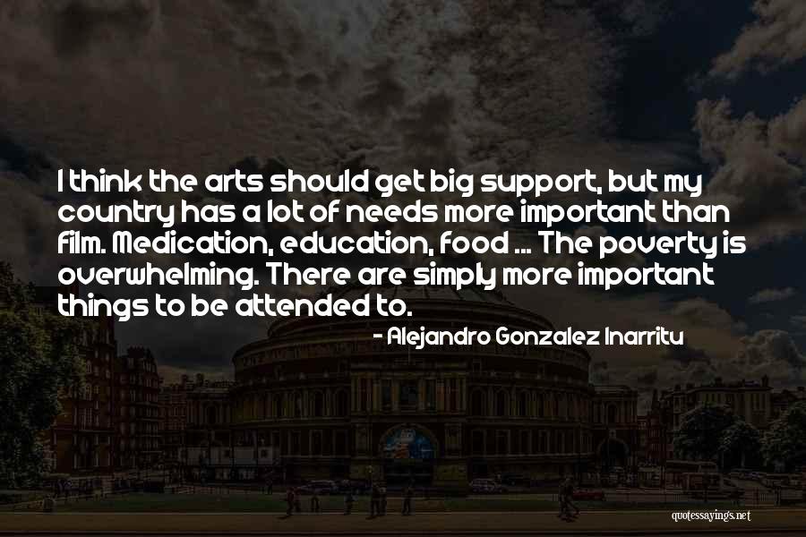 Krkonose Quotes By Alejandro Gonzalez Inarritu Krkonose Quotes By Alejandro Gonzalez Inarritu