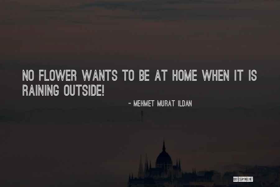Krmak Dzej Quotes By Mehmet Murat Ildan Krmak Dzej Quotes By Mehmet Murat Ildan