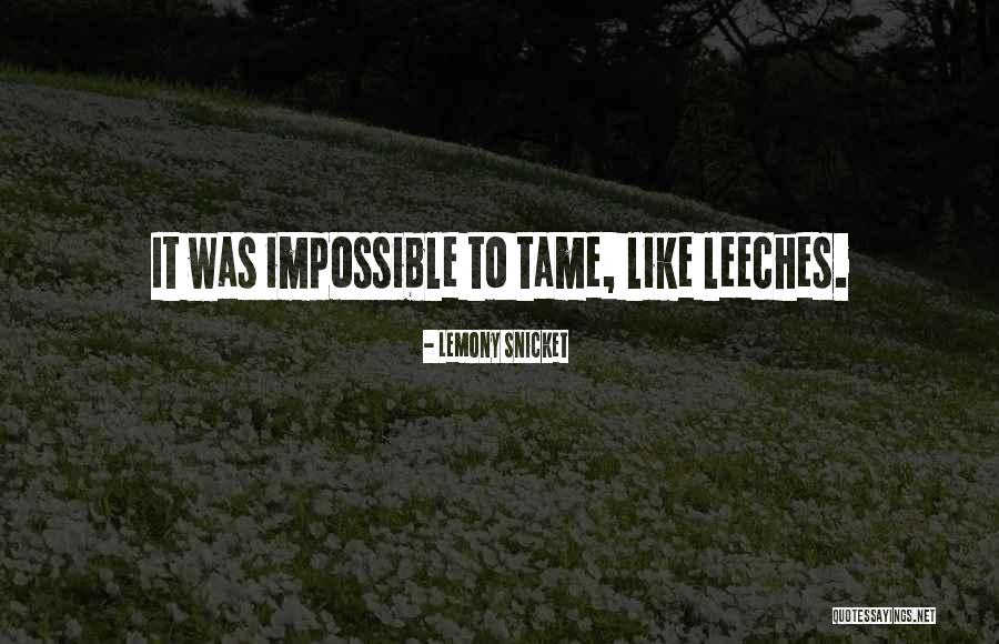 Kroczaleski Quotes By Lemony Snicket Kroczaleski Quotes By Lemony Snicket