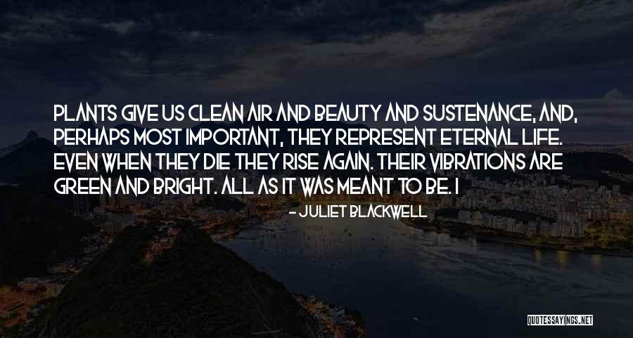 Krossin Keuka Quotes By Juliet Blackwell Krossin Keuka Quotes By Juliet Blackwell