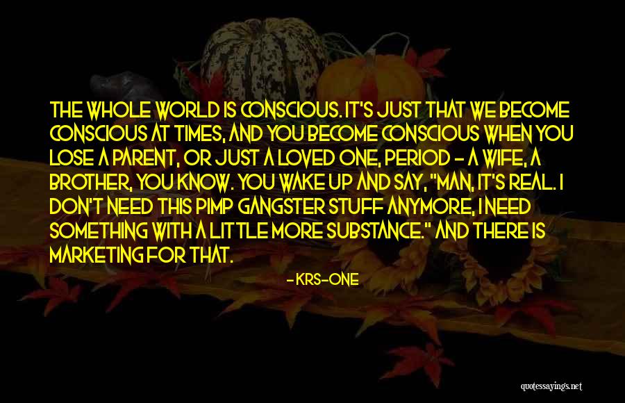 KRS-One Quotes 534558 KRS-One Quotes 534558