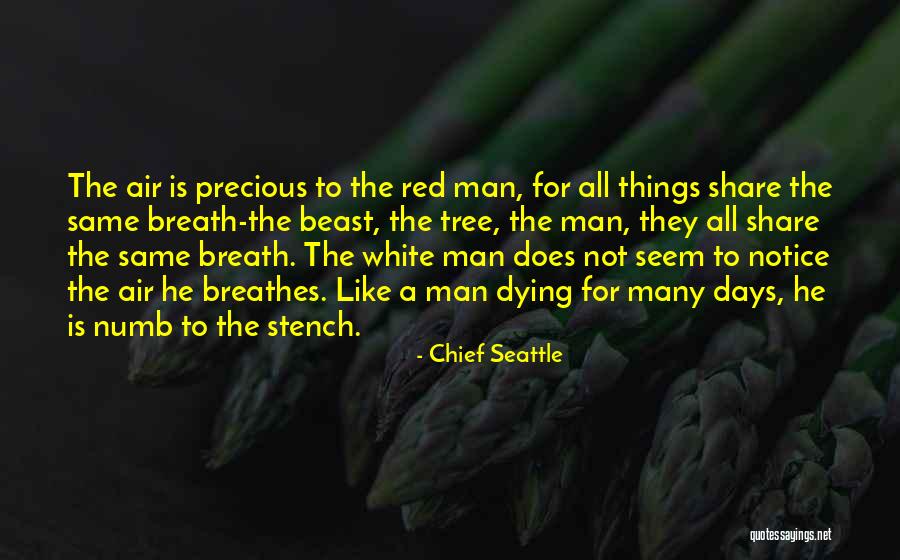 Krsmanovic Apoteka Quotes By Chief Seattle Krsmanovic Apoteka Quotes By Chief Seattle