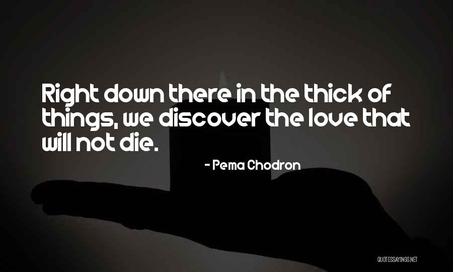 Kru Nice Quotes By Pema Chodron Kru Nice Quotes By Pema Chodron