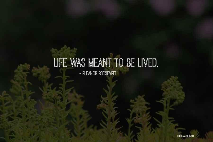 Krudy Gyor Quotes By Eleanor Roosevelt Krudy Gyor Quotes By Eleanor Roosevelt