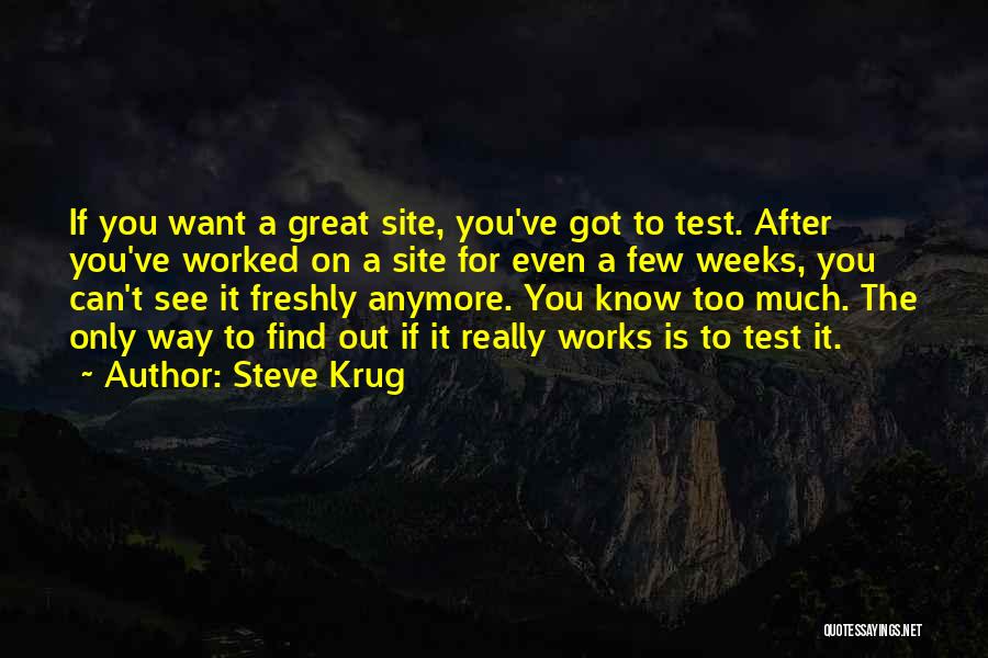 Krug Quotes By Steve Krug