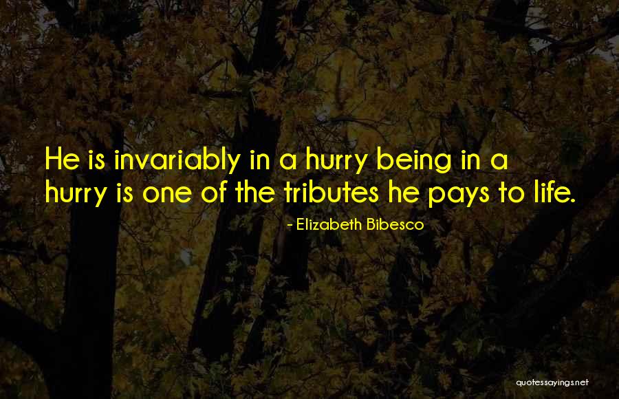 Krupskaffeemaschine Quotes By Elizabeth Bibesco Krupskaffeemaschine Quotes By Elizabeth Bibesco