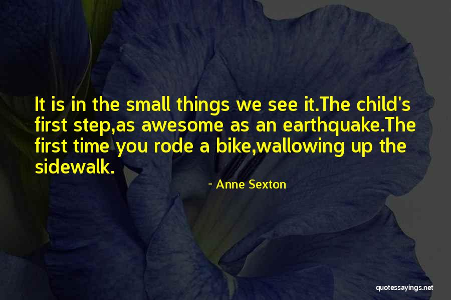 Krupskayas Husband Quotes By Anne Sexton Krupskayas Husband Quotes By Anne Sexton