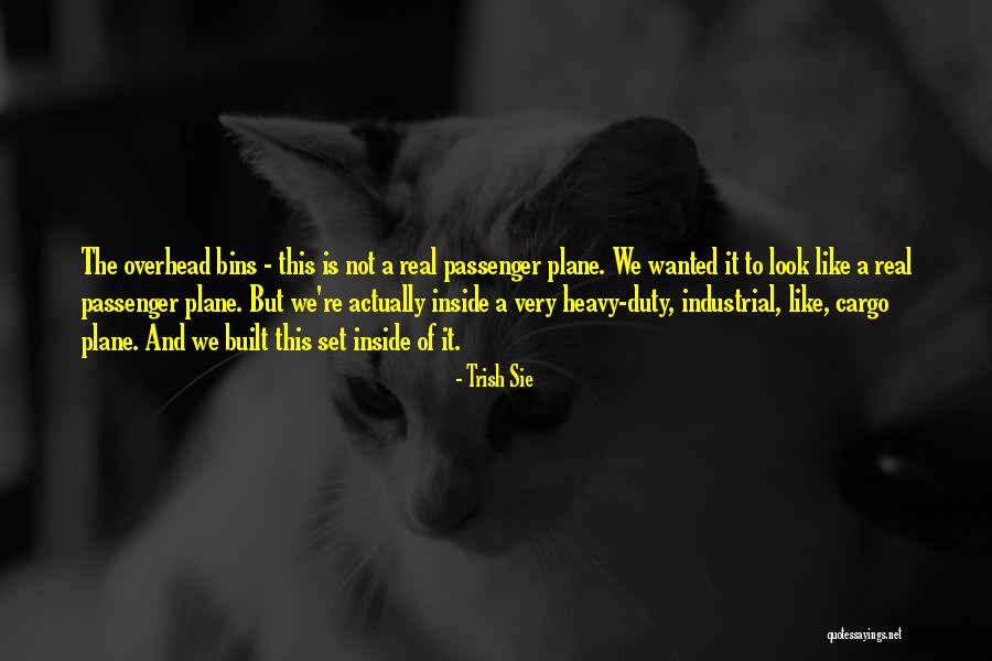 Kruta Veza Quotes By Trish Sie Kruta Veza Quotes By Trish Sie