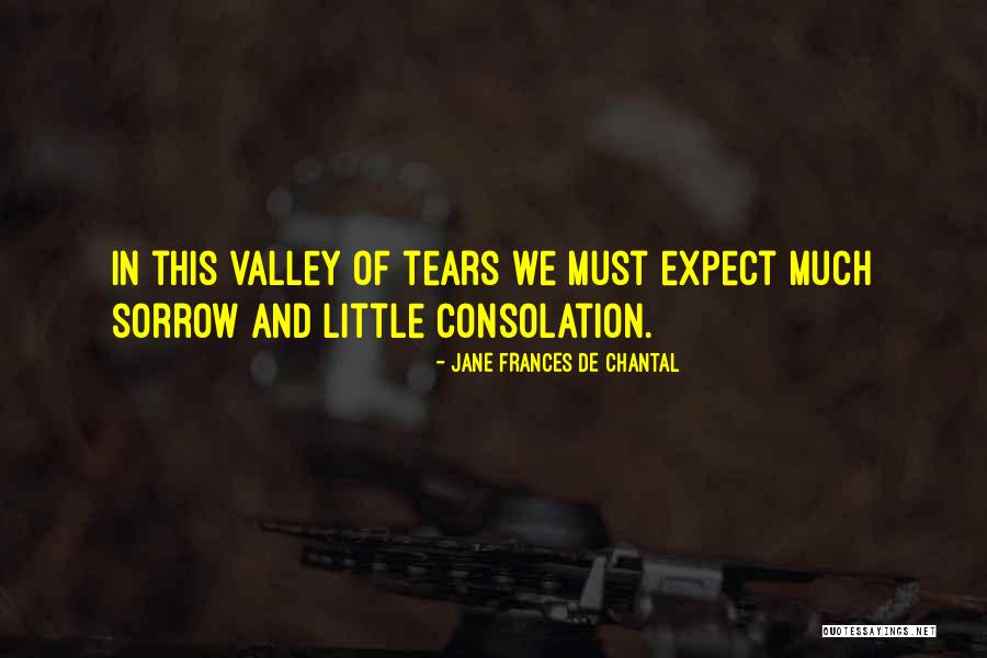 Krwi Airport Quotes By Jane Frances De Chantal Krwi Airport Quotes By Jane Frances De Chantal