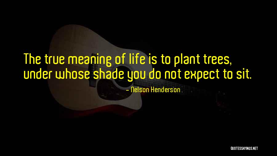 Kryeziu Tv Quotes By Nelson Henderson Kryeziu Tv Quotes By Nelson Henderson