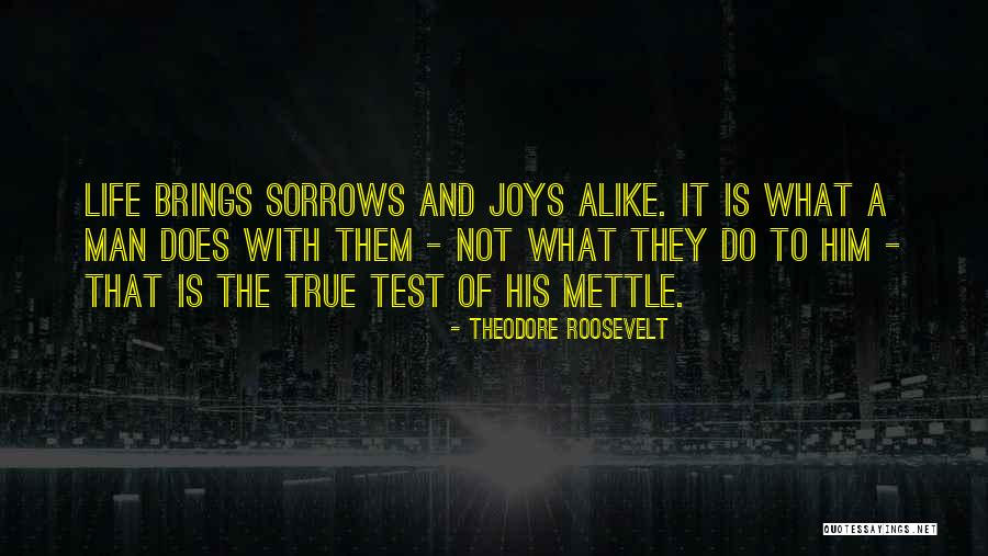 Ksenija Benedetti Quotes By Theodore Roosevelt Ksenija Benedetti Quotes By Theodore Roosevelt