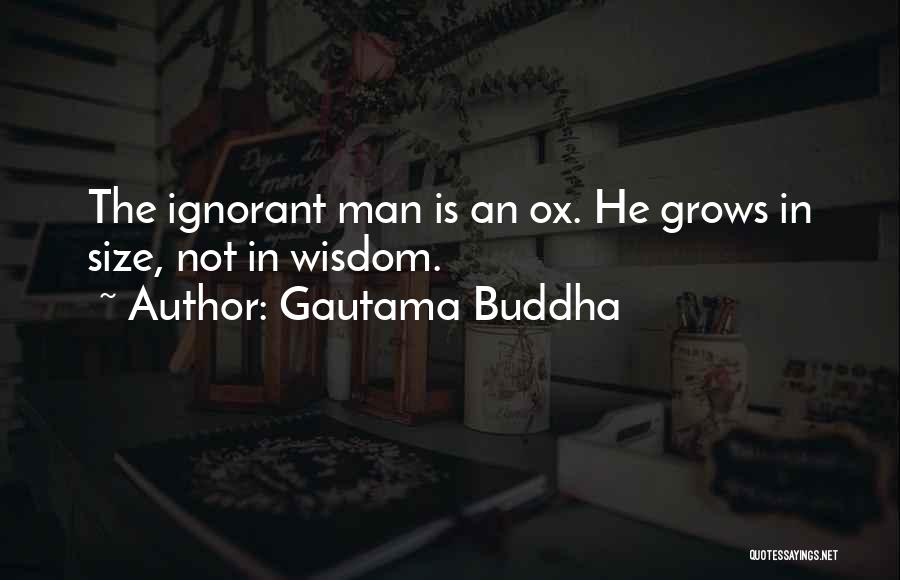 Ksh Single Quotes By Gautama Buddha
