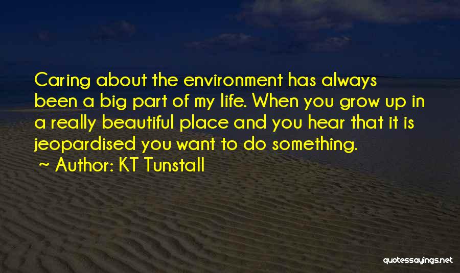 KT Tunstall Quotes 941406