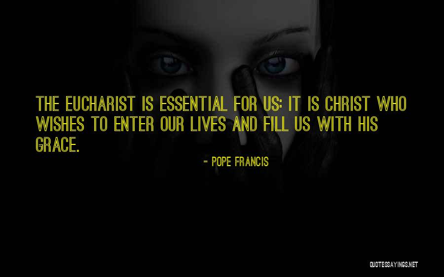 Kubecka Farms Quotes By Pope Francis Kubecka Farms Quotes By Pope Francis
