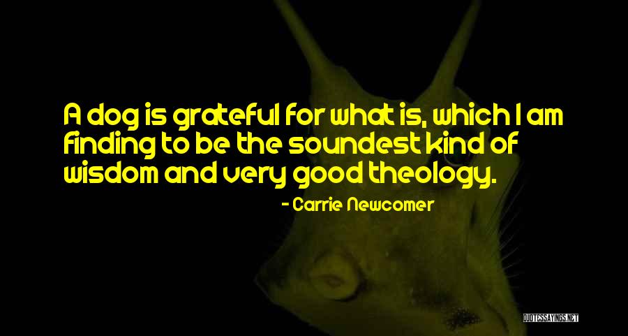 Kubilay Aktas Quotes By Carrie Newcomer Kubilay Aktas Quotes By Carrie Newcomer