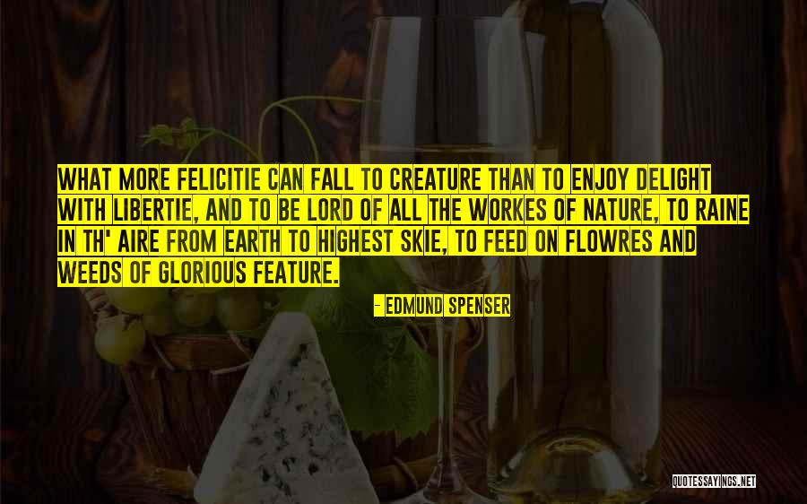 Kuchenka Elektryczna Quotes By Edmund Spenser Kuchenka Elektryczna Quotes By Edmund Spenser