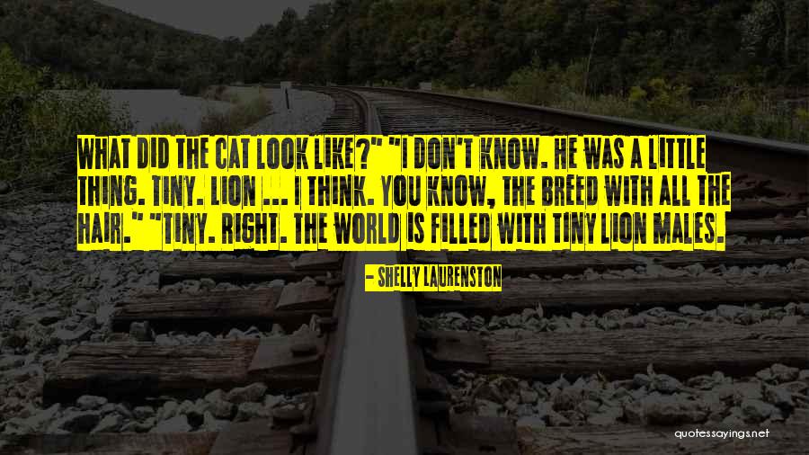 Kuchies On The Water Quotes By Shelly Laurenston Kuchies On The Water Quotes By Shelly Laurenston