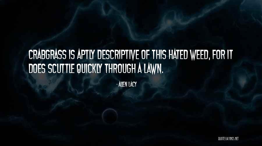 Kudrava Quotes By Allen Lacy Kudrava Quotes By Allen Lacy