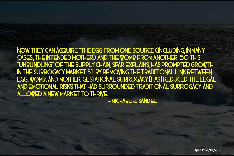 Kueit Quotes By Michael J. Sandel Kueit Quotes By Michael J. Sandel