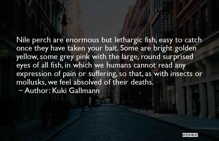 Kuki Gallmann Quotes 1419456 Kuki Gallmann Quotes 1419456