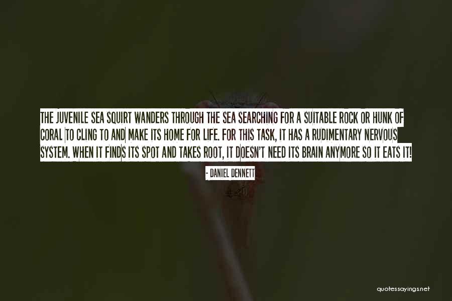 Kukubara Quotes By Daniel Dennett Kukubara Quotes By Daniel Dennett