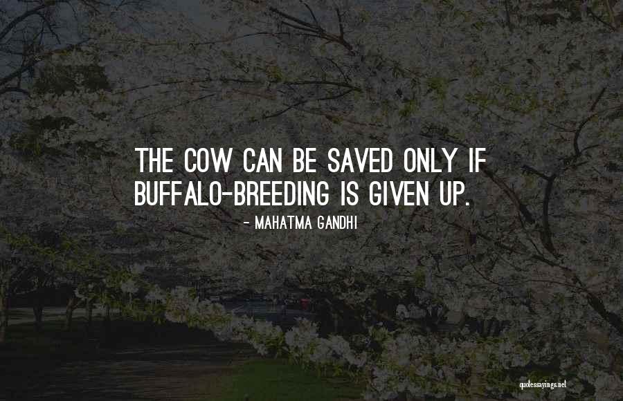 Kulapa Quotes By Mahatma Gandhi Kulapa Quotes By Mahatma Gandhi