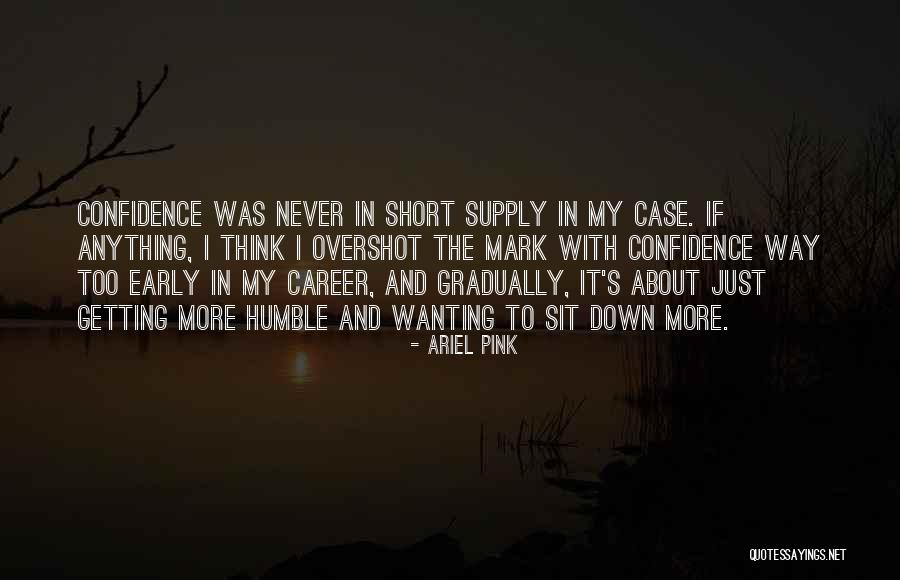 Kulappulli Leelas Age Quotes By Ariel Pink Kulappulli Leelas Age Quotes By Ariel Pink