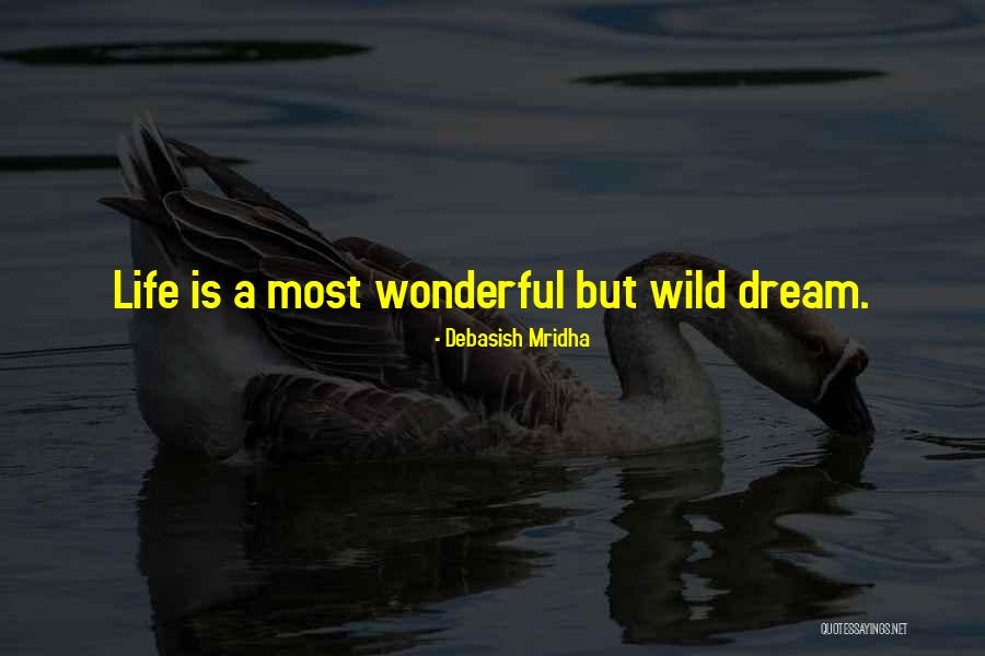 Kulenovic Collection Quotes By Debasish Mridha