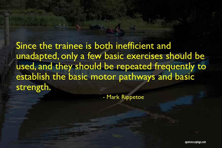 Kulikov Quotes By Mark Rippetoe Kulikov Quotes By Mark Rippetoe