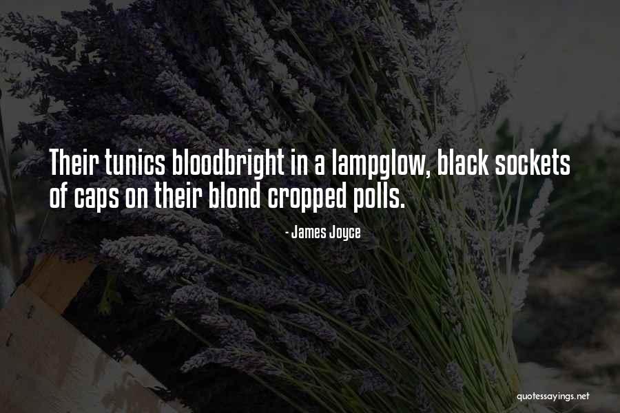 Kulinar Quotes By James Joyce Kulinar Quotes By James Joyce