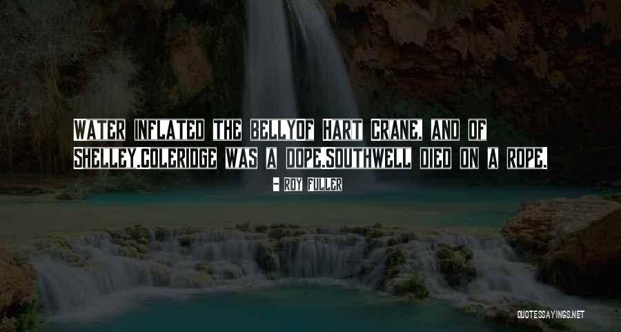 Kulit Manusia Quotes By Roy Fuller Kulit Manusia Quotes By Roy Fuller
