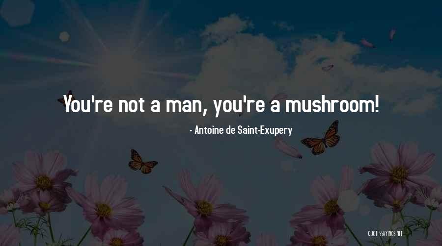 Kullanici Quotes By Antoine De Saint-Exupery Kullanici Quotes By Antoine De Saint-Exupery