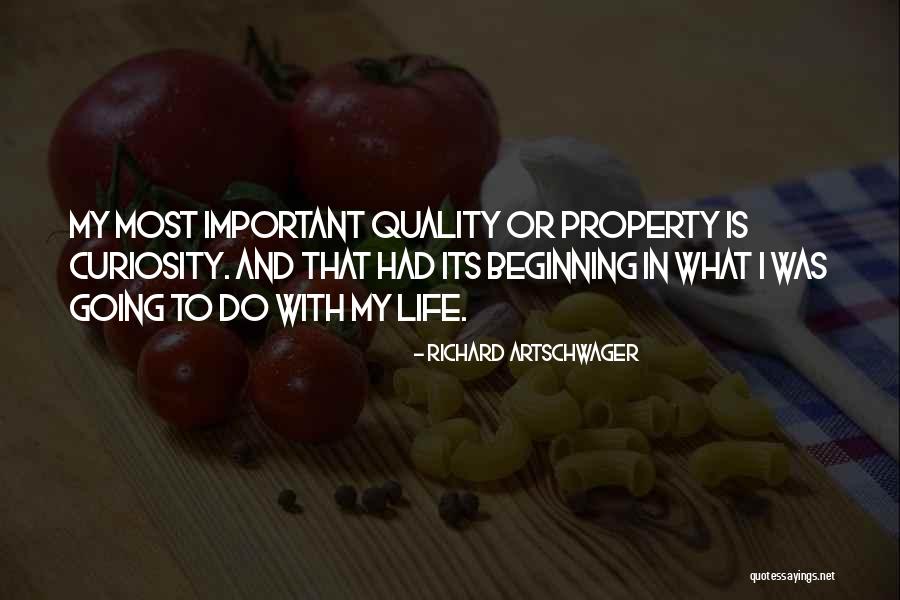 Kulturkampf History Quotes By Richard Artschwager Kulturkampf History Quotes By Richard Artschwager