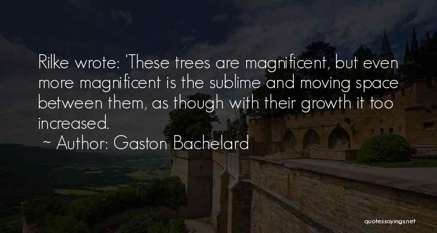 Kumlari Quotes By Gaston Bachelard