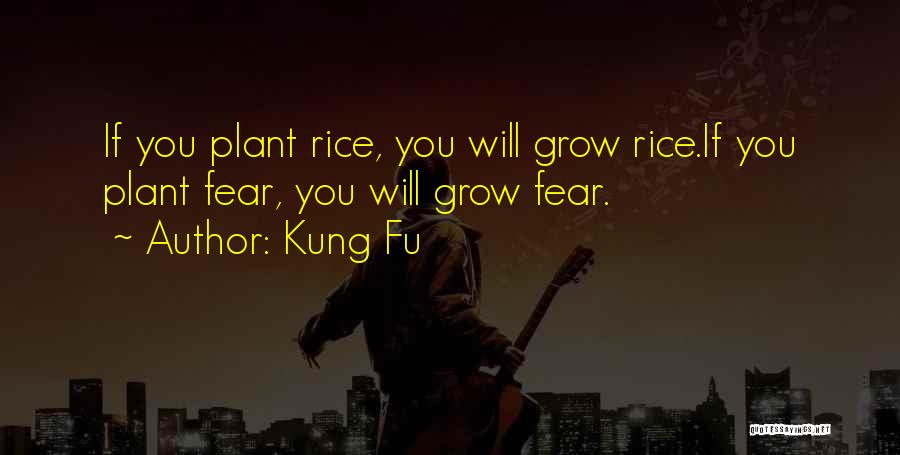 Kung Fu Quotes 1014824