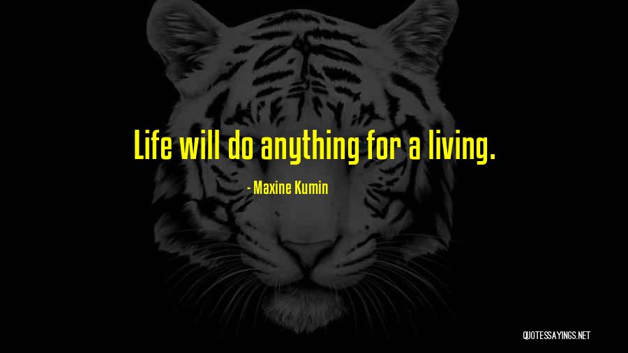 Kunigas Quotes By Maxine Kumin Kunigas Quotes By Maxine Kumin