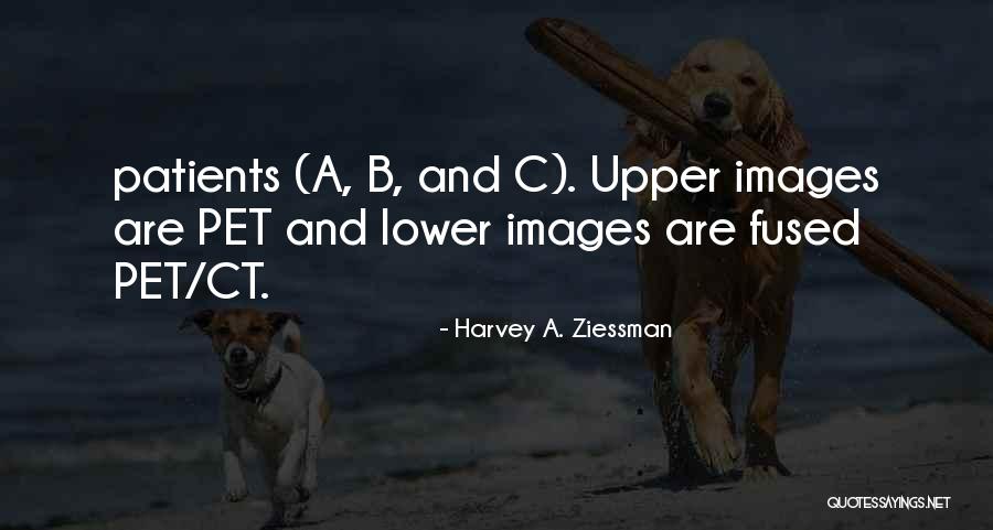 Kunikazu Quotes By Harvey A. Ziessman Kunikazu Quotes By Harvey A. Ziessman