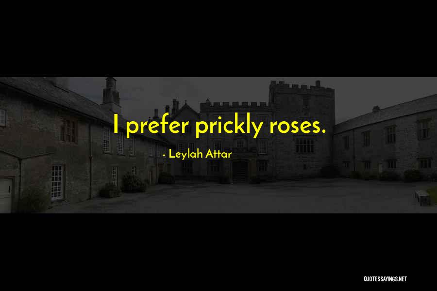 Kuninganna Koer Quotes By Leylah Attar Kuninganna Koer Quotes By Leylah Attar