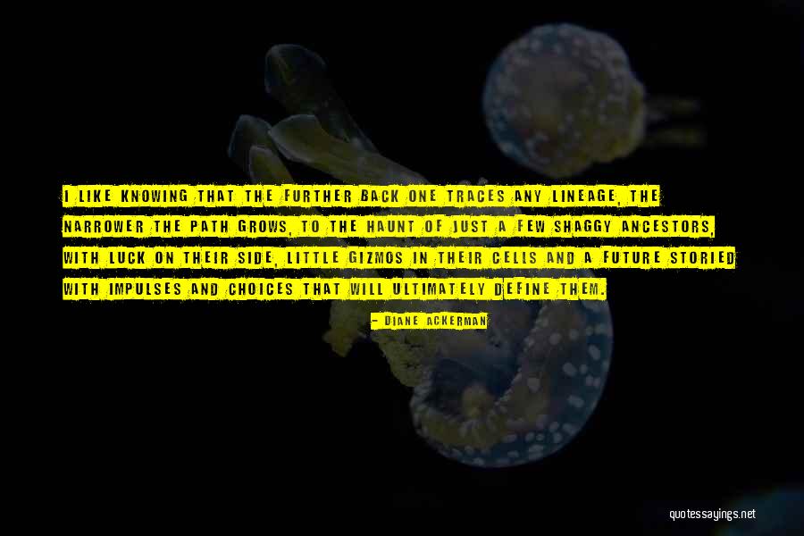 Kupovina Quotes By Diane Ackerman Kupovina Quotes By Diane Ackerman