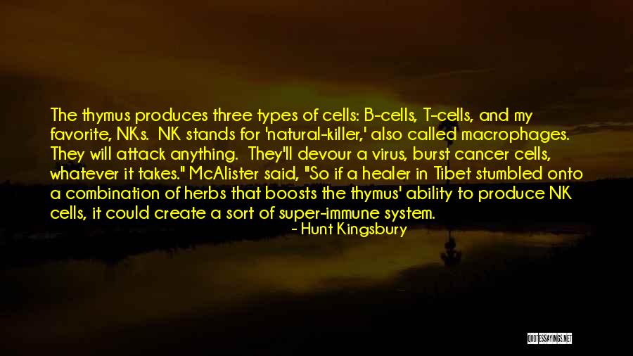 Kurahashi Island Quotes By Hunt Kingsbury Kurahashi Island Quotes By Hunt Kingsbury